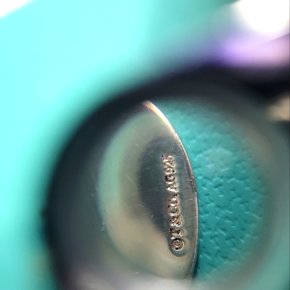 Tiffany and Co. CLXXV Limited Edition Charm - Picture 3 of 5